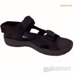 Sandspur 2 Convert - Imagen 2