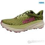 Challenger ATR 7 W - Imagen 2