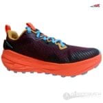 Experience Wild 2 W - Imagen 2