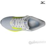 Rider 29 W - Imagen 3