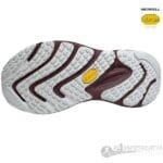 Promorph W - Imagen 5